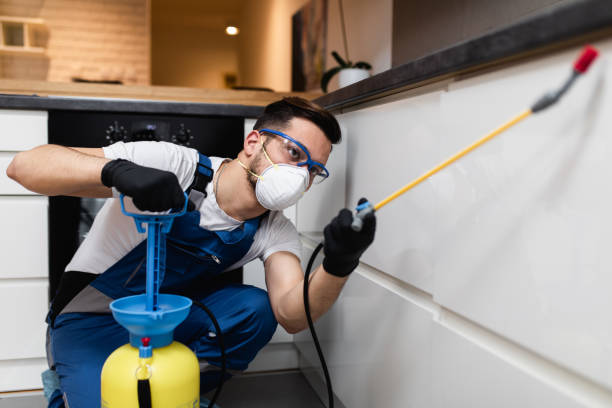 Best Rat Extermination Near Me  in Central, LA