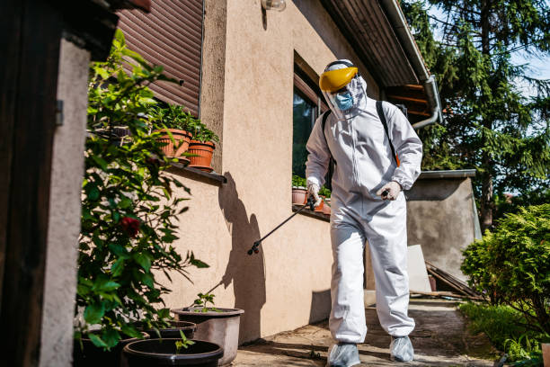 Best Pest Control for Homes  in Central, LA
