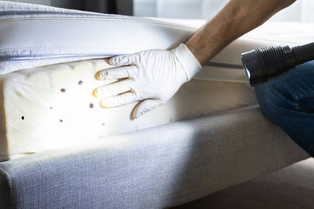 Best Affordable Pest Control Services  in Central, LA