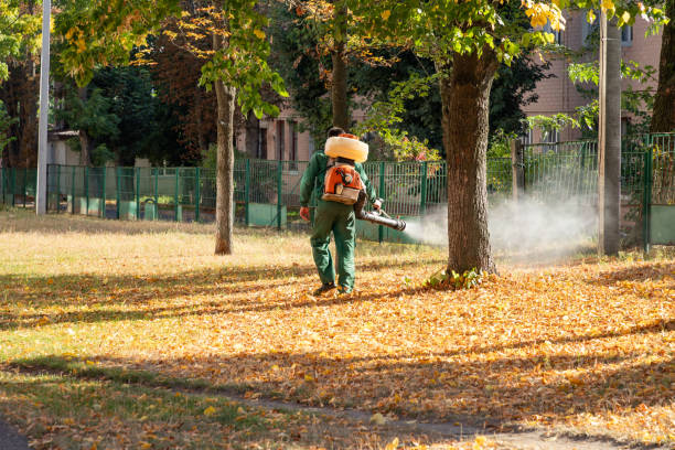 Reliable Central, LA Pest Control Solutions